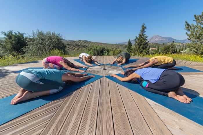 Yoga and Wellness Retreat
