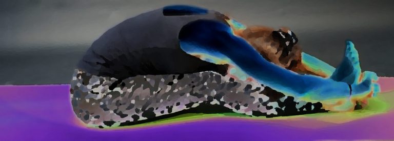 1 2310 768x275