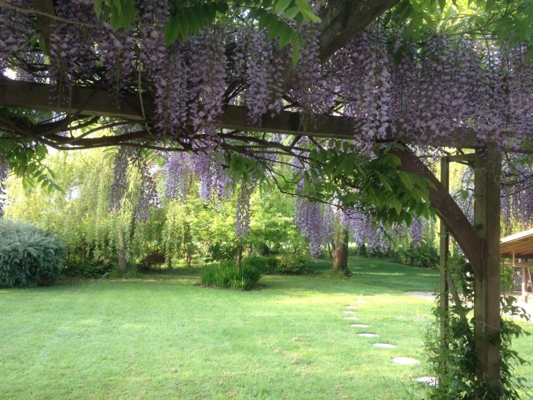 Garden 5 scaled 1 768x576