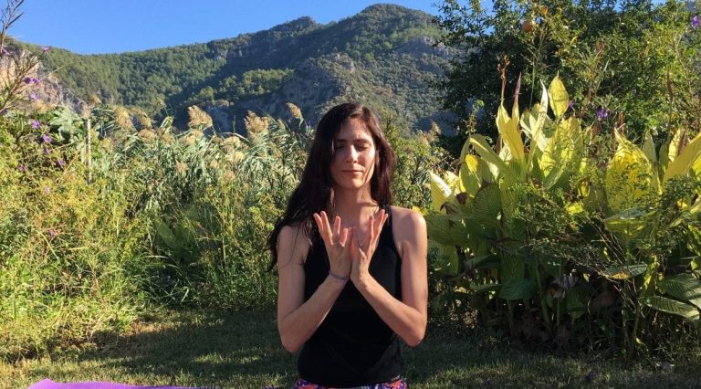 IMG 2552 1 768x426