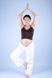 PregnancyTreePose2smallweb 2