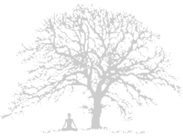 Rachel Bayliss Yoga Oak Tree Image 2