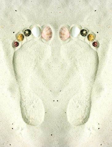 Shellfeet