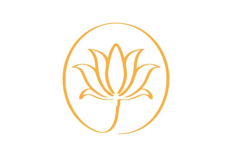 rev 01 768x520