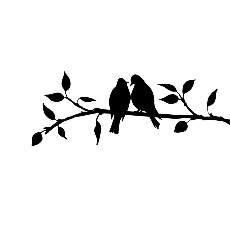 shutterstock 504469840 2 768x768