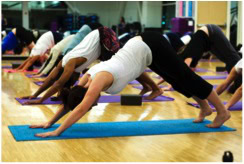 yoga group downward dog 1