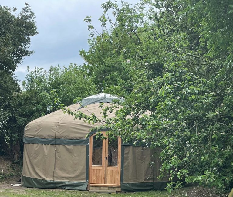 yurt scaled 1 768x649