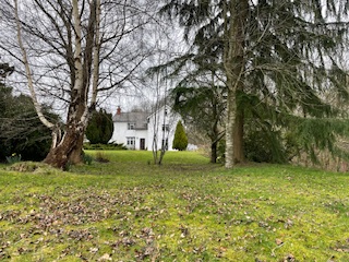 white house