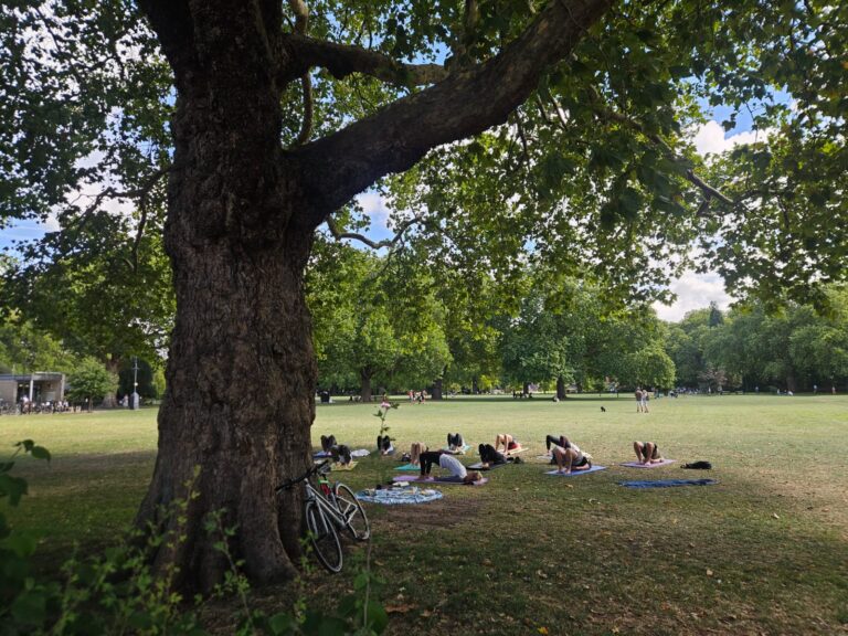 Photo from Alex Kate 768x576