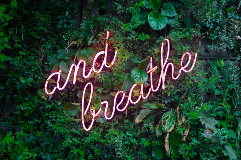 2022 website image and breathe max van den oetelaar 768x512