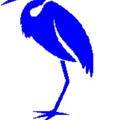 A Blue Heron