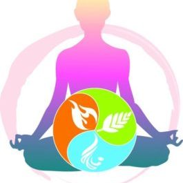 Ayurveda Yoga Studio