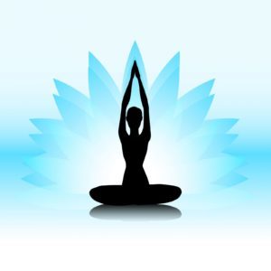 The Yoga Barre &amp; Wellness Centre