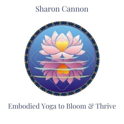 Bloom-Website-Logo-1.jpg